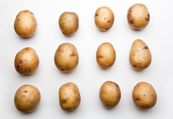 Potato Background studio