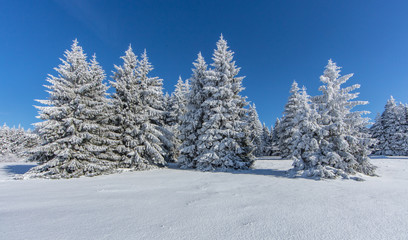 winterlandschaft