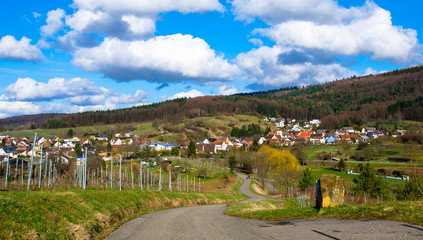 Weinberge bei Ettenheim