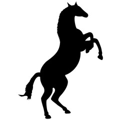 Fototapeta na wymiar Vector image of a silhouette of a horse standing on the hind legs