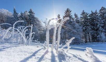 winter in deutschland