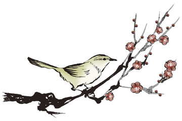 梅の花とウグイス　ベクター イラスト