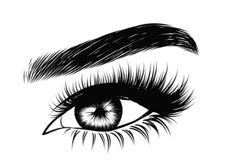 Illustration of woman's sexy luxurious eye with perfectly shaped eyebrows and full lashes. Hand-drawn Idea for business visit card, typography vector. Perfect salon look.