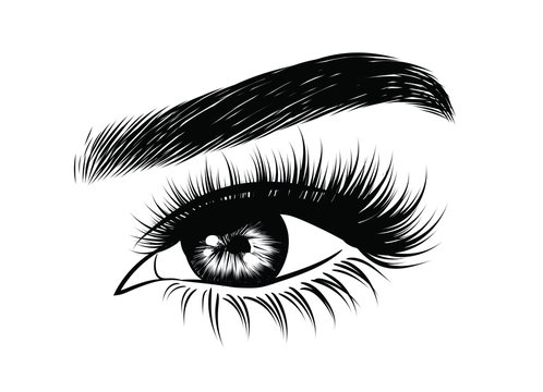 recommend clip art: Illustration of woman's sexy luxurious eye with perfectly shaped eyebrows and full lashes. Hand-drawn Idea for business visit card, typography vector. Perfect salon look.