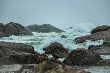 Crashing waves on rocks on Bakoven Beach, Cape Town with birds in the background.