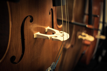 Detail on violoncello, the musical instrument