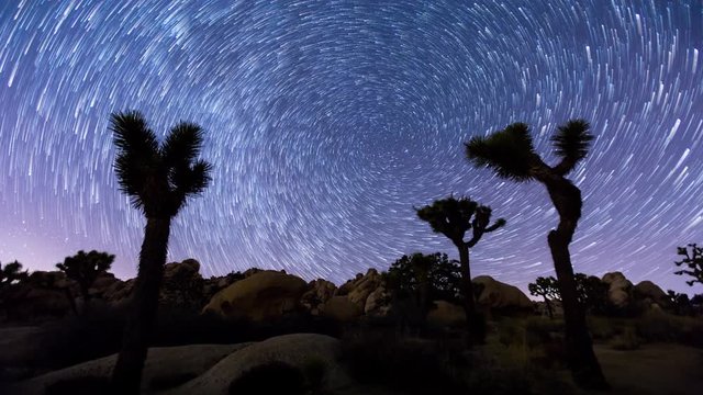Joshua Trees night 4k timelapse with star trails and zoom in effect, Joshua Tree National Park, California