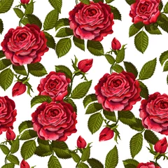 Foto op Plexiglas Rozen Rode roos naadloze patroon voor uw ontwerp. Vector illustratie.