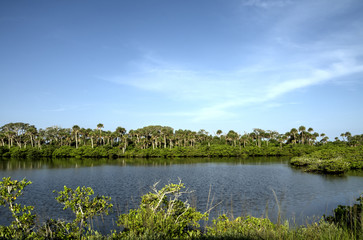 Merritt Island Wildlife Refuge in Florida