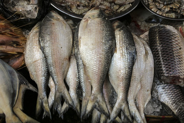 Fresh fish on the market in Asia