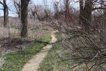 Camino hacia ningún sitio
