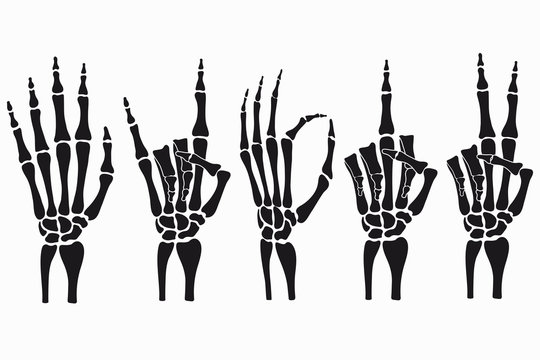 Skeleton hand gestures set. Collection of hand-drawn bones signs. Vector illustration.