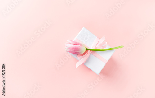Gift Box with Pink Tulip on Powder Pink Paper Background