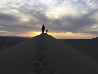 モンゴル ゴビ砂漠