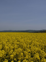 穏やかな春の休日