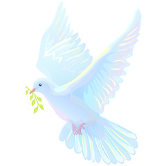 Dove, white dove with green sprig