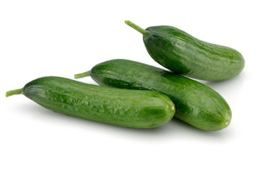 Cucumber