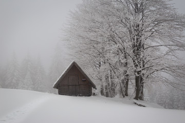 Fototapeta na wymiar Wooden mountain hut in a winter environment