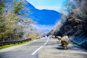 Beautiful landscape of Montenegro, Montenegro mountains, sea and mountains. Panorama