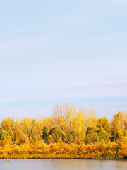 Fototapeta premium Golden autumn vertical landscape. Idyllic fall foliage scene. Beauty of autumn nature, sunset. Reflection on the water. Space for text