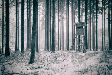 A hunter hut in a winter forest
