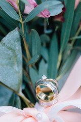 Nahaufnahme - Eheringe auf Blättern Silber Gold Edelsteine