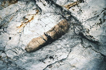 abstract surface limestone with rocks
