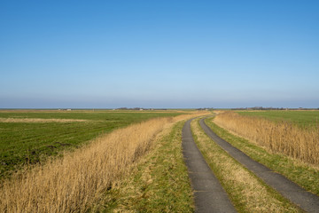 Feldweg in Nordsee-Landschaft