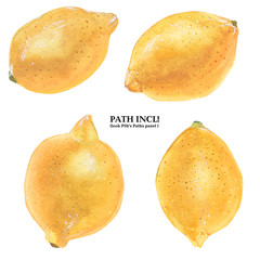 Botanical Watercolor Lemons