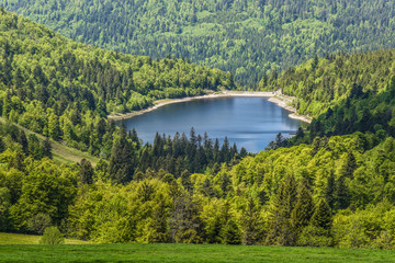 Idyllic lake (Le lac de la lande) surrounded by green forest, landscape in french Alsace on Route of Crete, France, Europe 