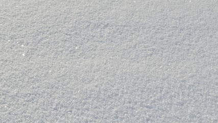 snow texture shining in the sun