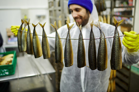 Appetizing smoked mackerels hanging on wire held by man in uniform