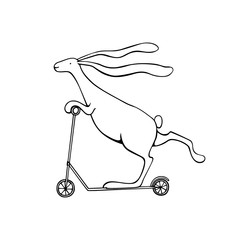Vector hand drawn hare