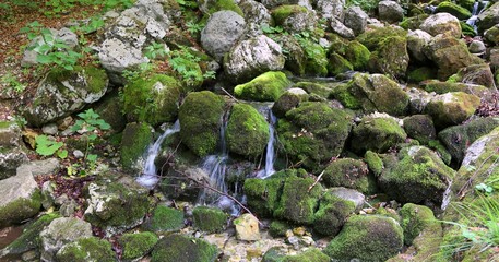 source of pure fresh water