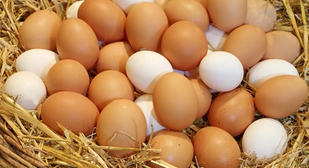 Basket with hen eggs in the farm