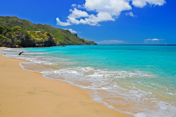 Fototapeta na wymiar View of wonderful beach on Bequia island, Caribbean Sea region of Lesser Antilles