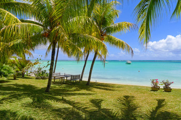 Fototapeta na wymiar Palm trees on beautiful beach, Mauritius Island