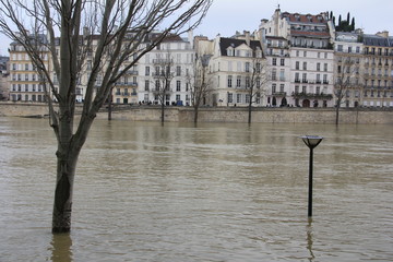 Crue de la Seine