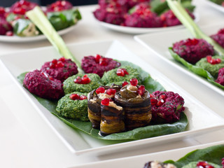 Rolls of eggplant with a filling of walnuts, Georgian snack 