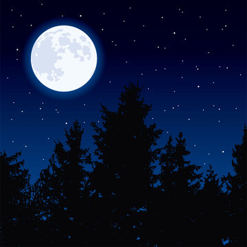 vector moon in night sky and forest trees © FreeSoulProduction