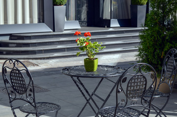 Outdoor cafe table with red geranium flower in summer, exterior decoration