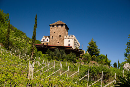 Schloss Korb und Burg Boymont