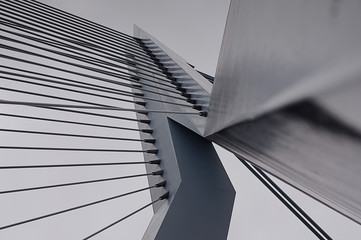 Erasmusbrug Erasmus Bridge in Rotterdam