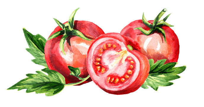 Red ripe tomatoes horizontal composition. Watercolor hand drawn illustration, isolated on white background