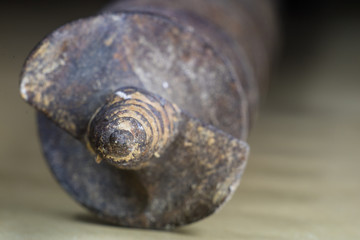 Joinery accessories in a large magnification. The tip of the drill is shown in macro technology.