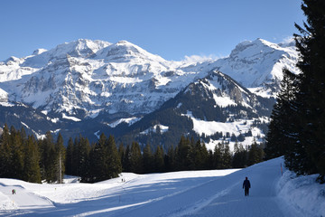 Fototapeta na wymiar Randonnée dans l'Oberland bernois à Lenk en Suisse