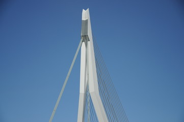 Erasmusbrug Erasmus Bridge in Rotterdam