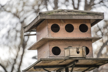 Bird House