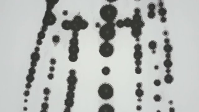 Aerial view. White abstract background with black circles. A frozen lake with round thawed patches