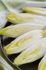 Fresh raw Belgian bitter chicory salad ready to cook